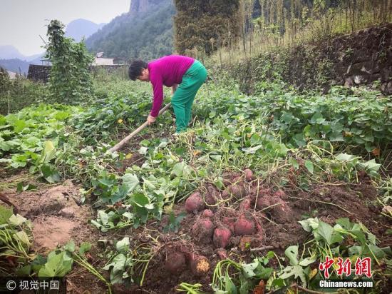 官方释疑中国农村土地制度改革试点延期一年