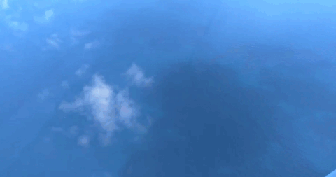 桑吉轮沉没海面不见残骸溢油面积约58平方公里