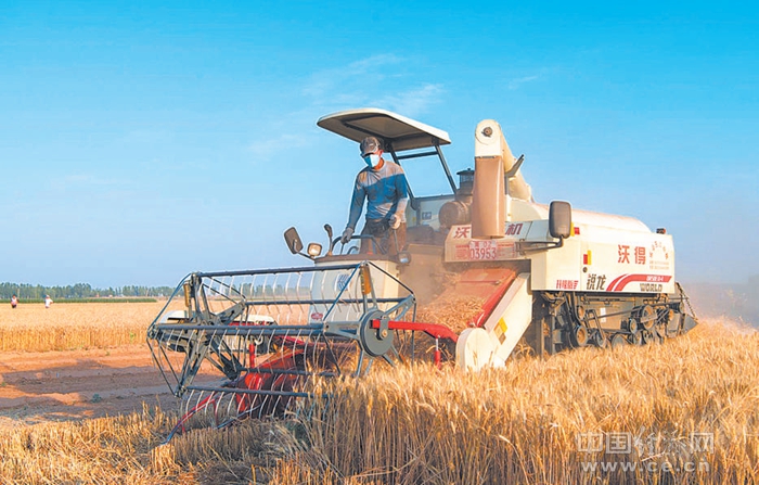 �й����룺�ý�14���˳Ա��Ժ� Ϊ���繱���й�����