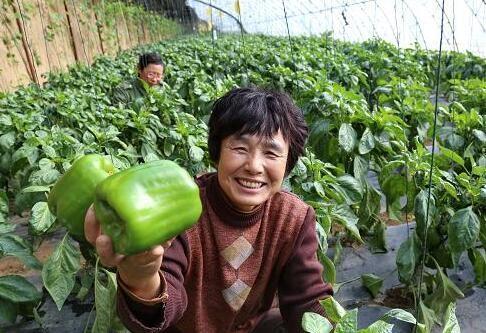 消除中国所有贫困人口_中国消除贫困图片(3)