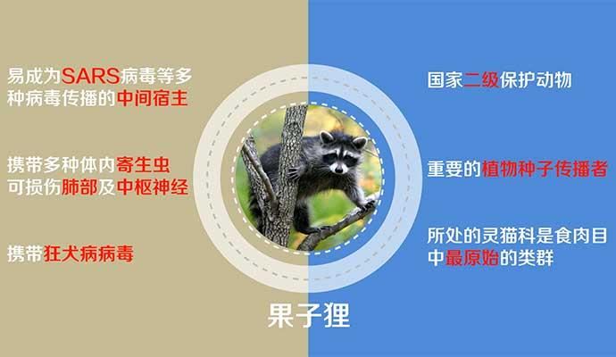 �������ա�Ұ������ġ��������롱��һ����ʹ һ��ħ��