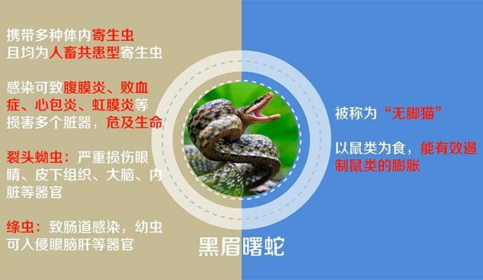 �������ա�Ұ������ġ��������롱��һ����ʹ һ��ħ��