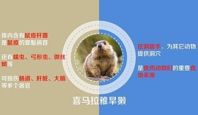 �������ա�Ұ������ġ��������롱��һ����ʹ һ��ħ��