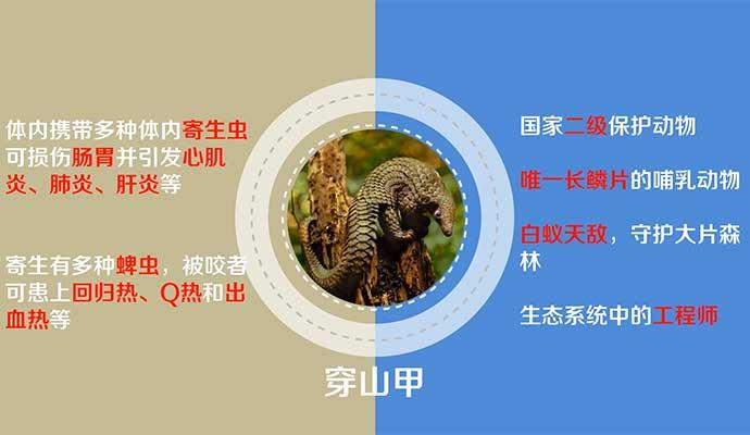 �������ա�Ұ������ġ��������롱��һ����ʹ һ��ħ��