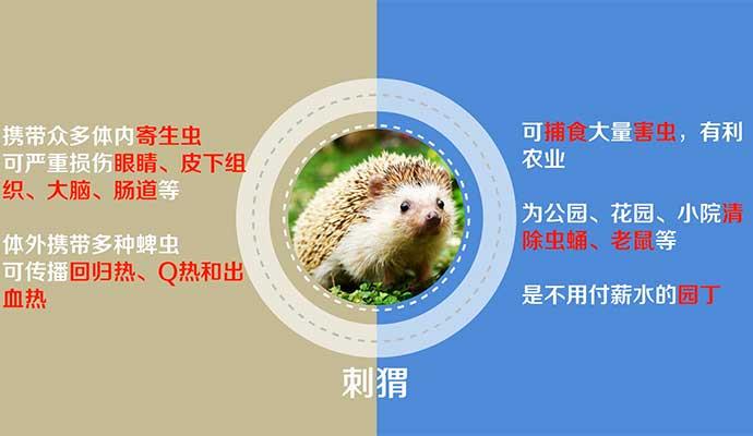 �������ա�Ұ������ġ��������롱��һ����ʹ һ��ħ��