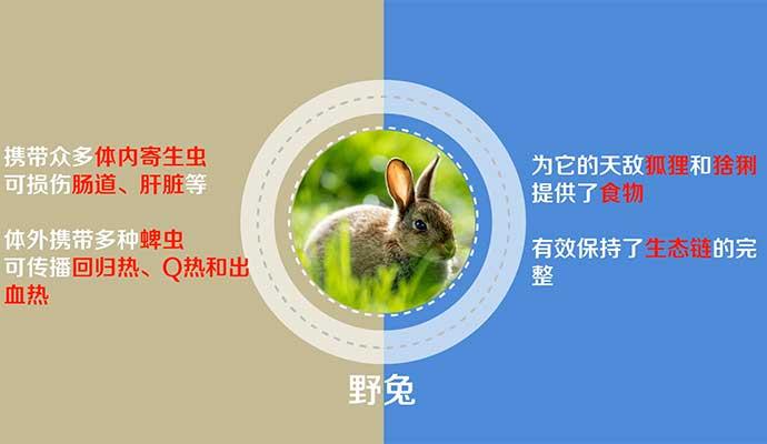 �������ա�Ұ������ġ��������롱��һ����ʹ һ��ħ��