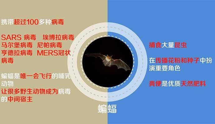 �������ա�Ұ������ġ��������롱��һ����ʹ һ��ħ��