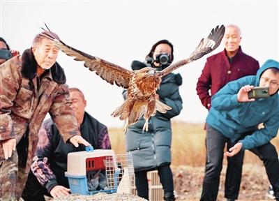 ������Ұ������Ӧ������ദ