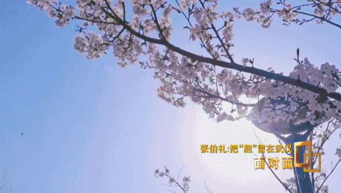 面对面丨抗疫前线 张伯礼院士收到了这份特殊的生日礼物