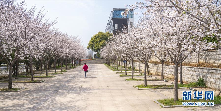 ���۽�������أ���1���人��ӣ�����Ŵ���Ũ