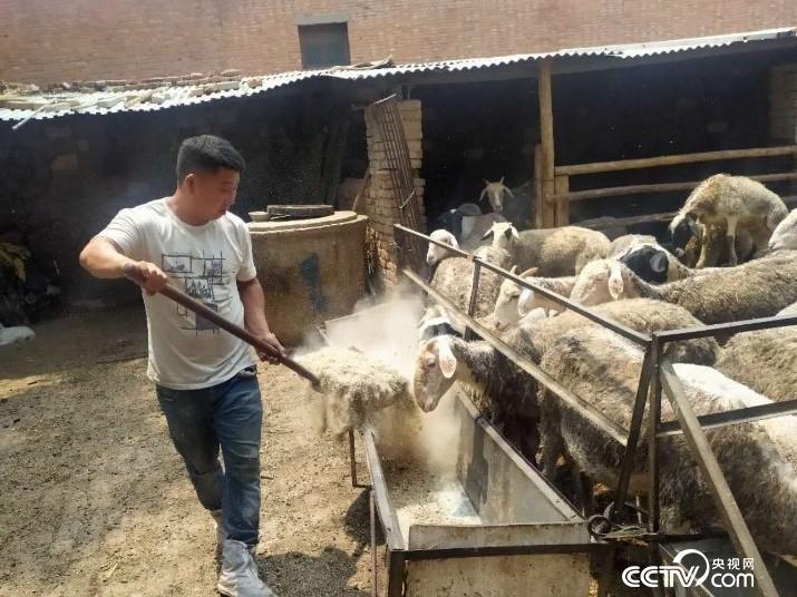 κ�ؾ�׼��ƶ���ưѷ����һ�Ҵӷ�ƶ�������˻��������������¸���С���ĵ�·������/��ԣ�