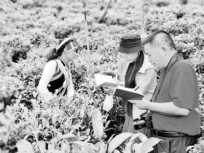 一鼓作气、顽强作战,不获全胜决不收兵 一鼓作气、顽强作战,不获全胜决不收兵