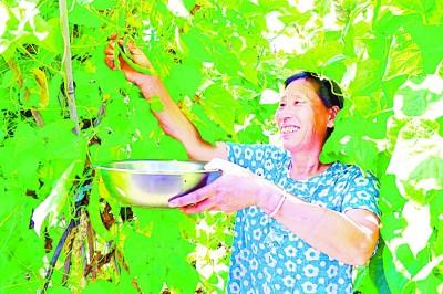 �򹤿��������塪��������ʡ��ˮ���˷������ƶ֮·