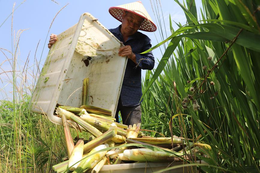 ����ʡ�̳���۳���򳤳��ǧĶ��̬����ϲ����ա�����ΰ��