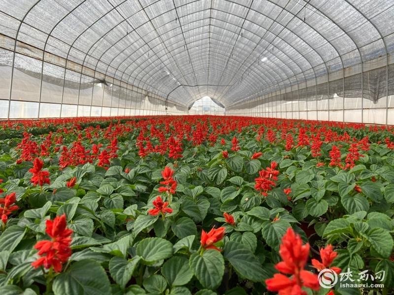 ΢��ͼƬ_20210608142926