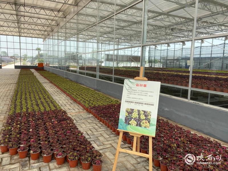 ΢��ͼƬ_20210608142920