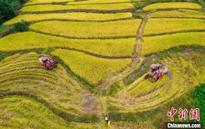 江西中南部重旱范围明显扩大部分地区或将秋冬连旱