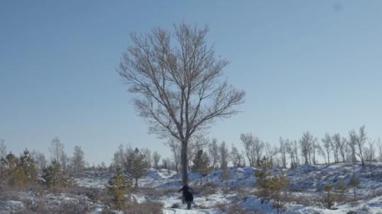 �й��������ж�ţ����������˾�֪����