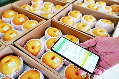 ��������ϵġ��Ƽ���ȫ����