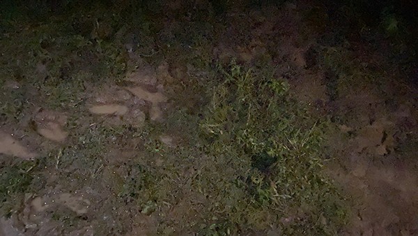 疑似飞机残骸碎片掉落的地点。