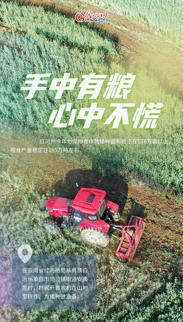 �����������;��������󡰸�����