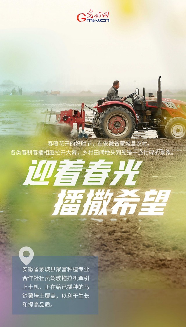 �����������;��������󡰸�����