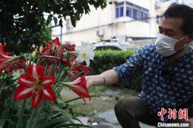 (上海战疫录)疫情期间,我在小区研究野草