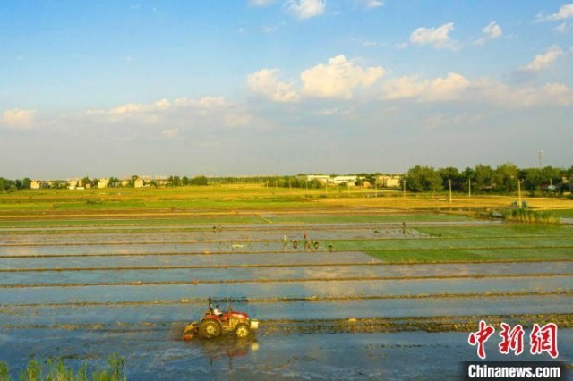 ������������ߡ�������֡�����������ֲ���æ