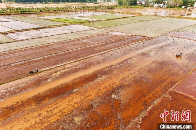 6��14�գ�����ʡ�����С������״�ũ���ڷ���ˮ��׼������(���˻���Ƭ)��������ǰ ��