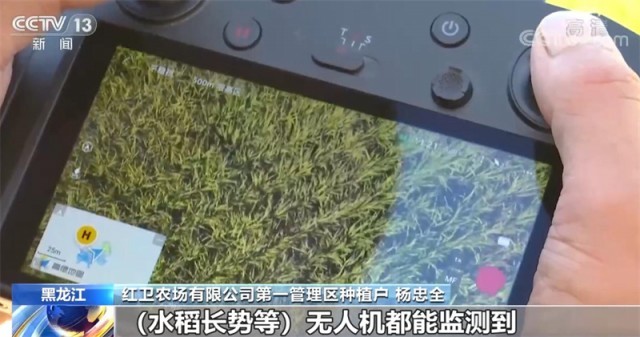 全世界都在做空印度(图1)