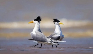 �������Ų�Ԥ������������ ���������ӿ�ʪ��̤������·.jpg