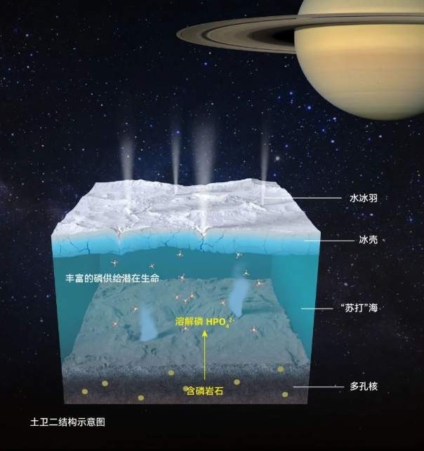 土卫二冰层下的海洋可能含有丰富的溶解磷酸根，支持潜在微生物的起源和繁殖