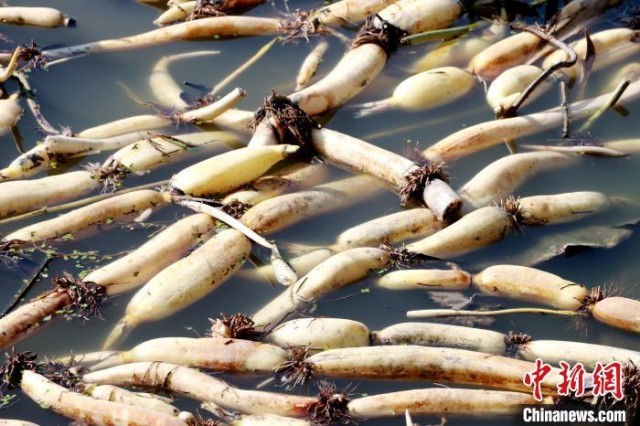 ��ź��ֲҲΪ�ܱߴ����ṩ�˾�ҵ���յ�ƽ̨�����Ͷ�ľ�Ŵο� ��