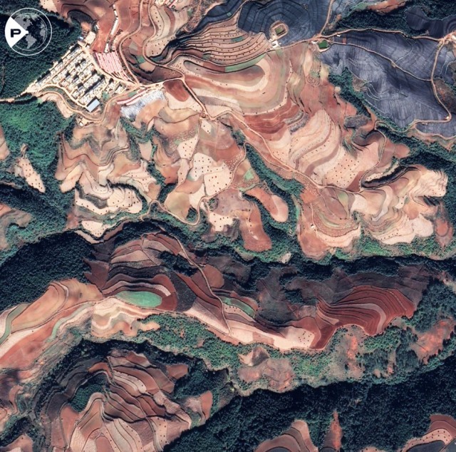 世界粮食日 | 岁稔年丰!遥感卫星视角“瞰”多彩农田