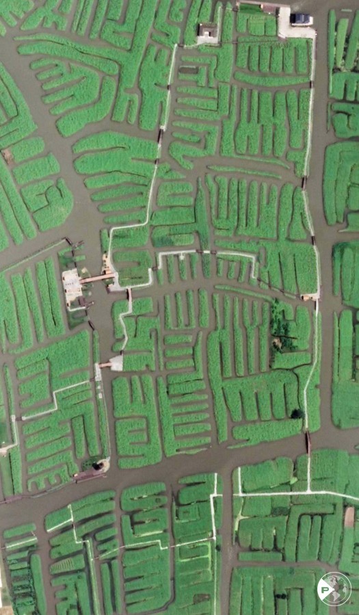 世界粮食日 | 岁稔年丰!遥感卫星视角“瞰”多彩农田