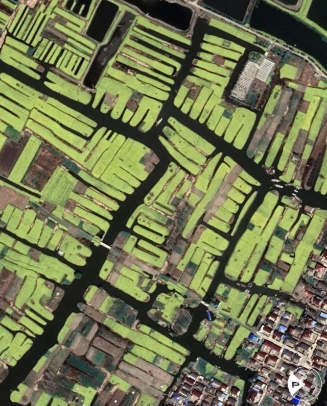 世界粮食日 | 岁稔年丰!遥感卫星视角“瞰”多彩农田