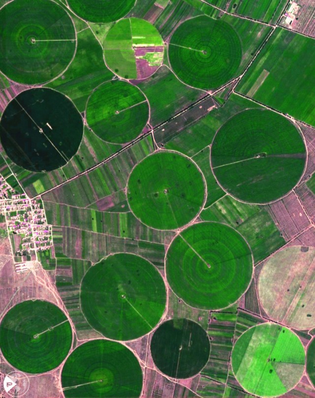 世界粮食日 | 岁稔年丰!遥感卫星视角“瞰”多彩农田