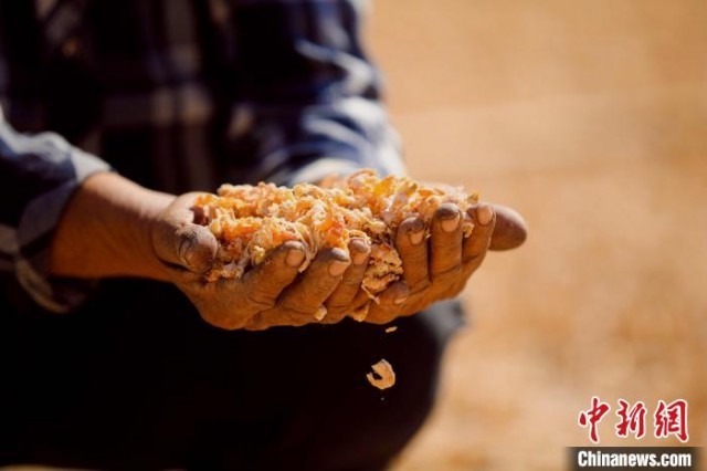 渔民正在晾晒海米。 宋年升 摄