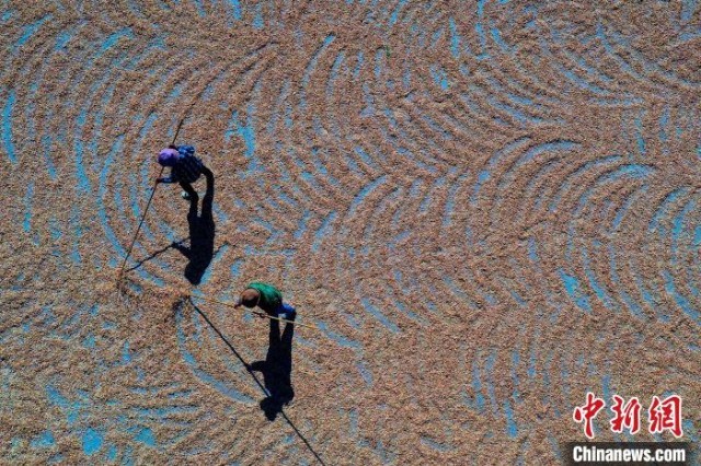 为延长海货销售链和保质期,渔民们将适合风干保存的海货进行晾晒保存。(无人机照片) 于坤帅 摄