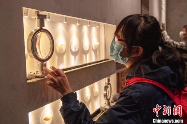 在蓉港澳台侨大学生参观成都熊猫基地。 刘忠俊 摄