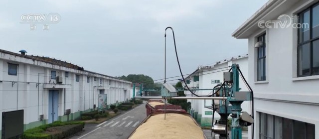 杜绝餐桌浪费 请行动起来(图1)