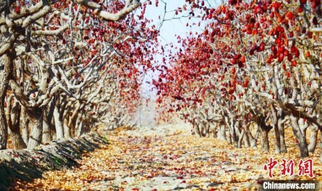 �½������ҵ�����Ԫ����ǰ������