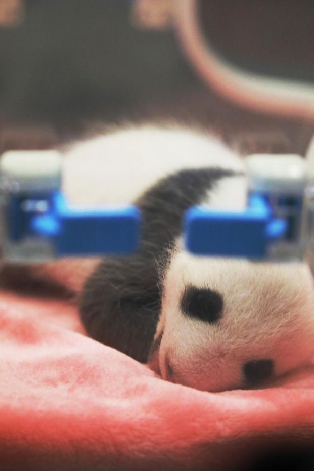 ��������˶�Աץ�ĳɶ����˻��ϡ��������̡�