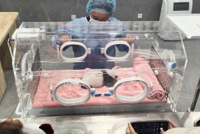 ��������˶�Աץ�ĳɶ����˻��ϡ��������̡�