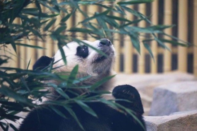 ��������˶�Աץ�ĳɶ����˻��ϡ��������̡�