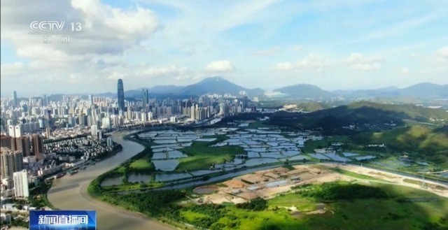 开元体育这些日常行为可能影响！一文了解什么是总体观(图13)
