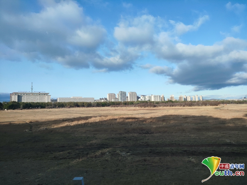 半岛地址复兴志 报国行｜9年7件提案只为保护一片草原！(图2)