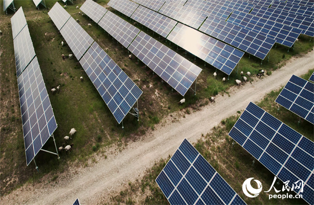 ��Ⱥ���ຣʡ�����ݹ���������̲�Ĺ��԰���ڳԲݡ����������� ��������