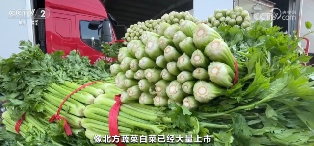 秋季蔬菜大量上市供应充足 居民“菜篮子”价格逐步趋稳回落(图3)