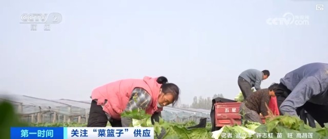 秋冬蔬菜生产供应基础较好 老百姓的“菜篮子”“果6t体育APP盘子”更丰富(图4)